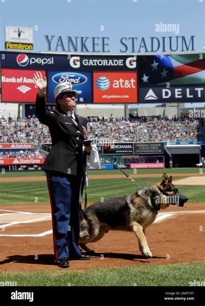 Intriguing Tale Of Megan Leavey And Matt Morales: A Bond Between Human And Dog